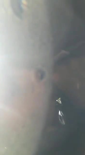 Cute Girl Blowjob In Jungle