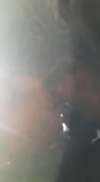 Cute Girl Blowjob In Jungle