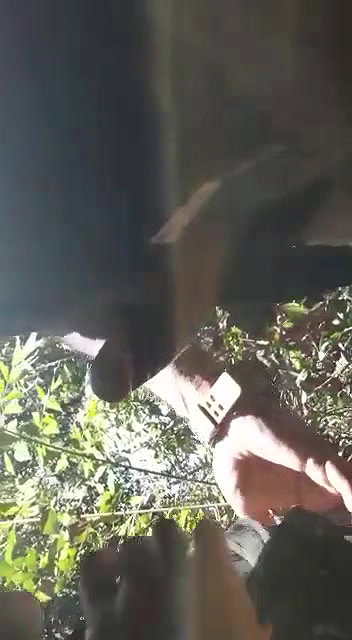 Cute Girl Blowjob In Jungle