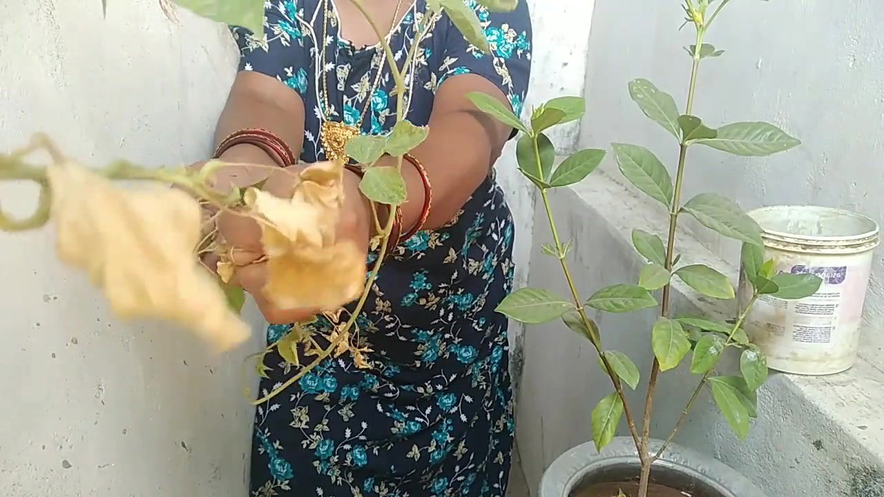 Indian Tamil Village Beauty Stepaunty Sex