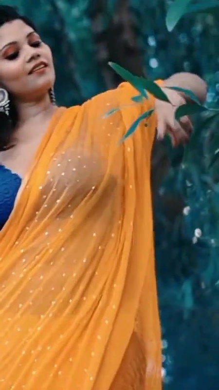 Saree Lovers