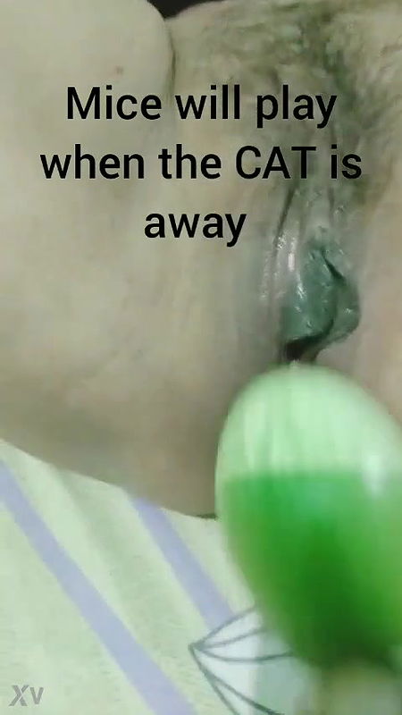 Desi village bhabi play with begun