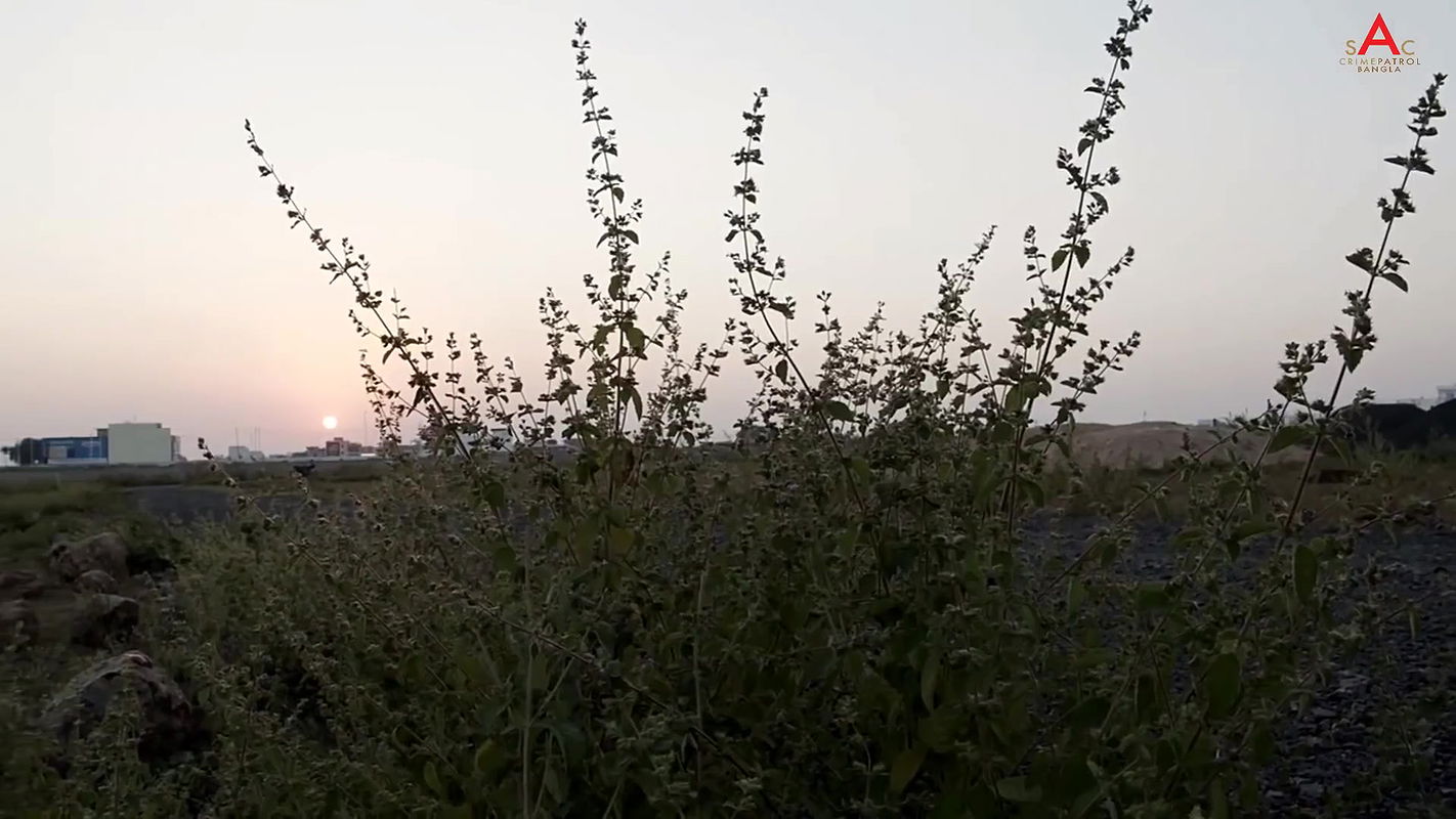 Crime Patrol One Sided Love Bangla Bangla Crime Series