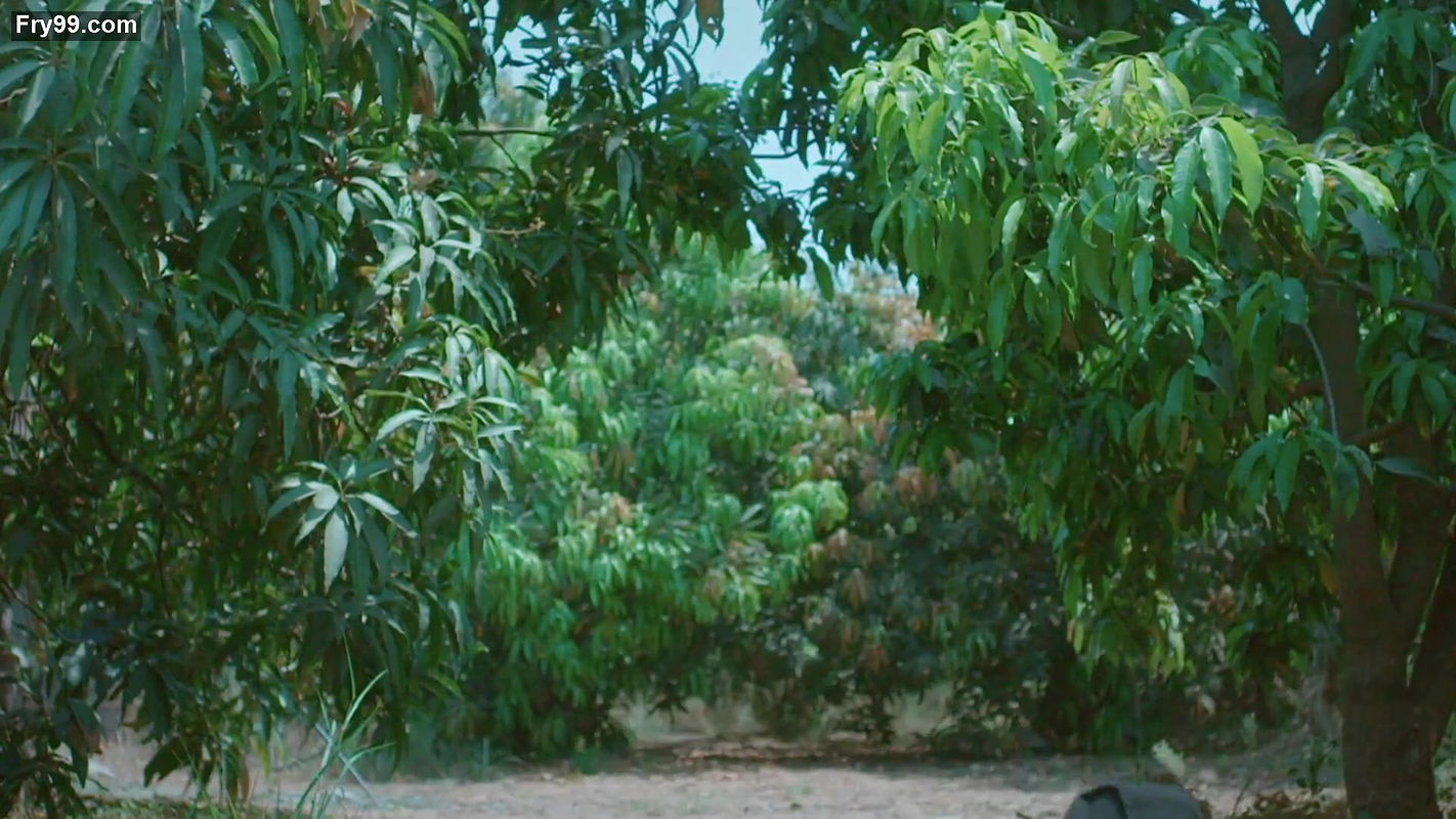 Hot Girl sexy in saree from crime patrol