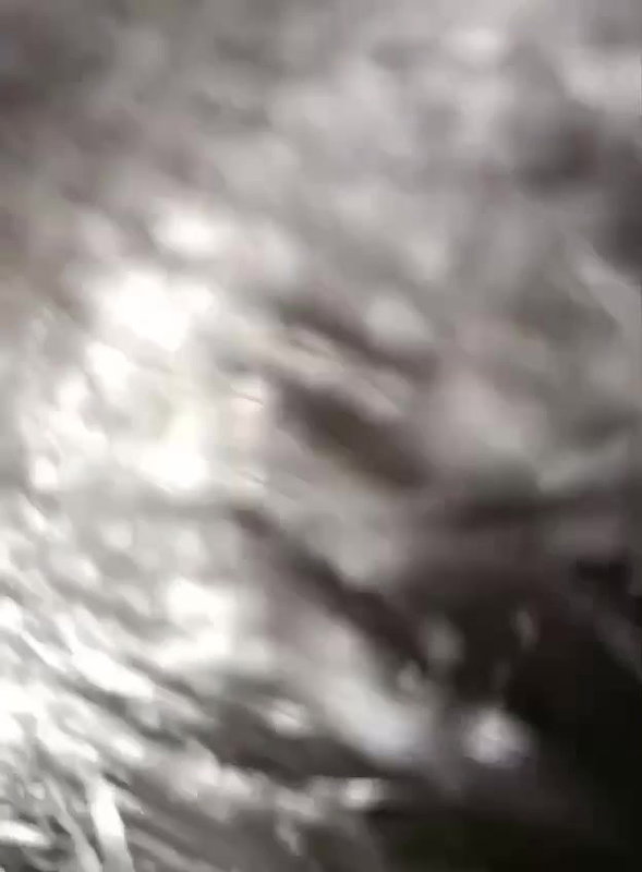 Beautiful Chasmish College Girlfriend Boob Captured And Sucking BF Cock Outdoor 23