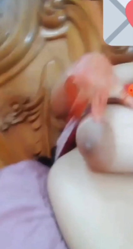 Cute Girl Showing Boobs Pussy 22