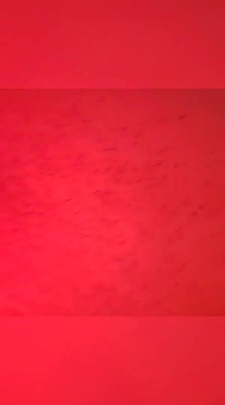 Amateur Home Sex Video_e1d2188a