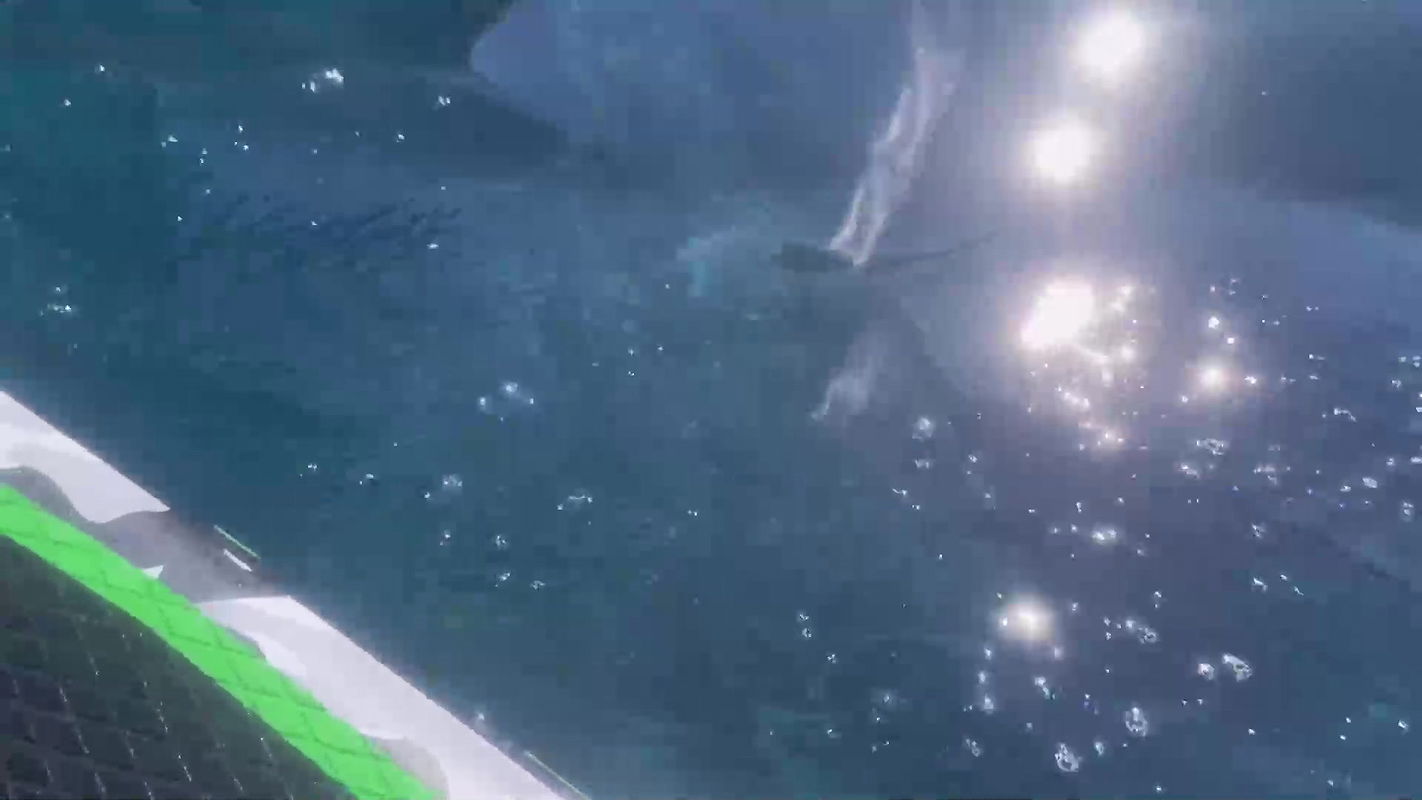 Fit Couple Making Some Dirty And Hot Home Workout Standing Doggy Bj And Cowgirl_5dac3761