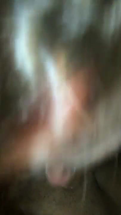 Outdoor swallow Home Away From Home Away From Home_570d09cf