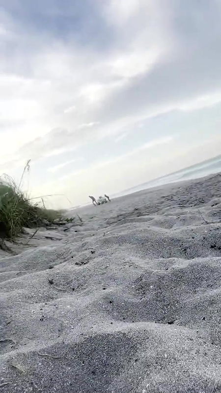 True Home Made Amateur another part_15f83200