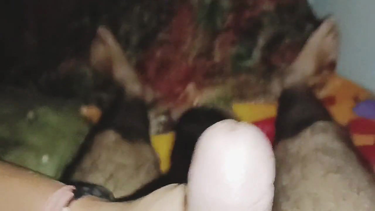 Desi Bhabhi Best Blowjob