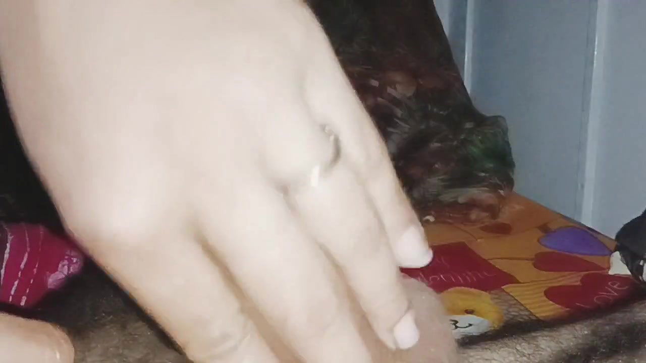 Desi Bhabhi Best Blowjob