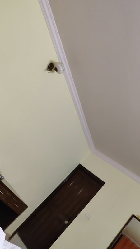 Chubby Horny Girlfriend Giving Blowjob & Fucking Diff. Positions Many Clips Update 215