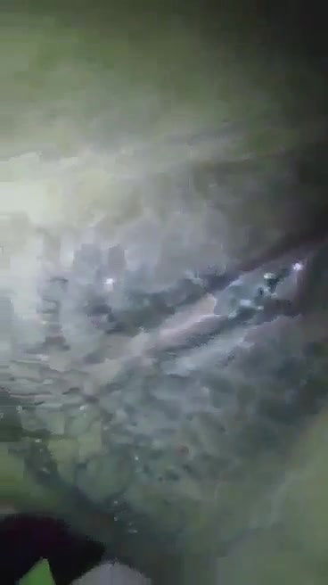 Desi village girl showing her tits to her partner 22