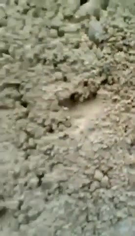 Couple Caught fucking Outdoor