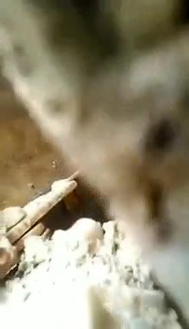 Couple Caught fucking Outdoor