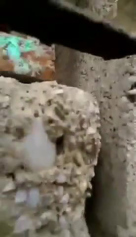 Couple Caught fucking Outdoor