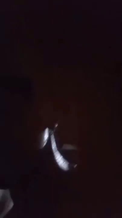 Bangladeshi Village Girl Showing