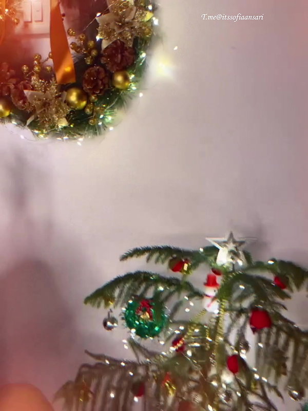 SOFIA ANSARI SLUTTY SEXY CHRISTMAS GIFT WE DESIRE 22