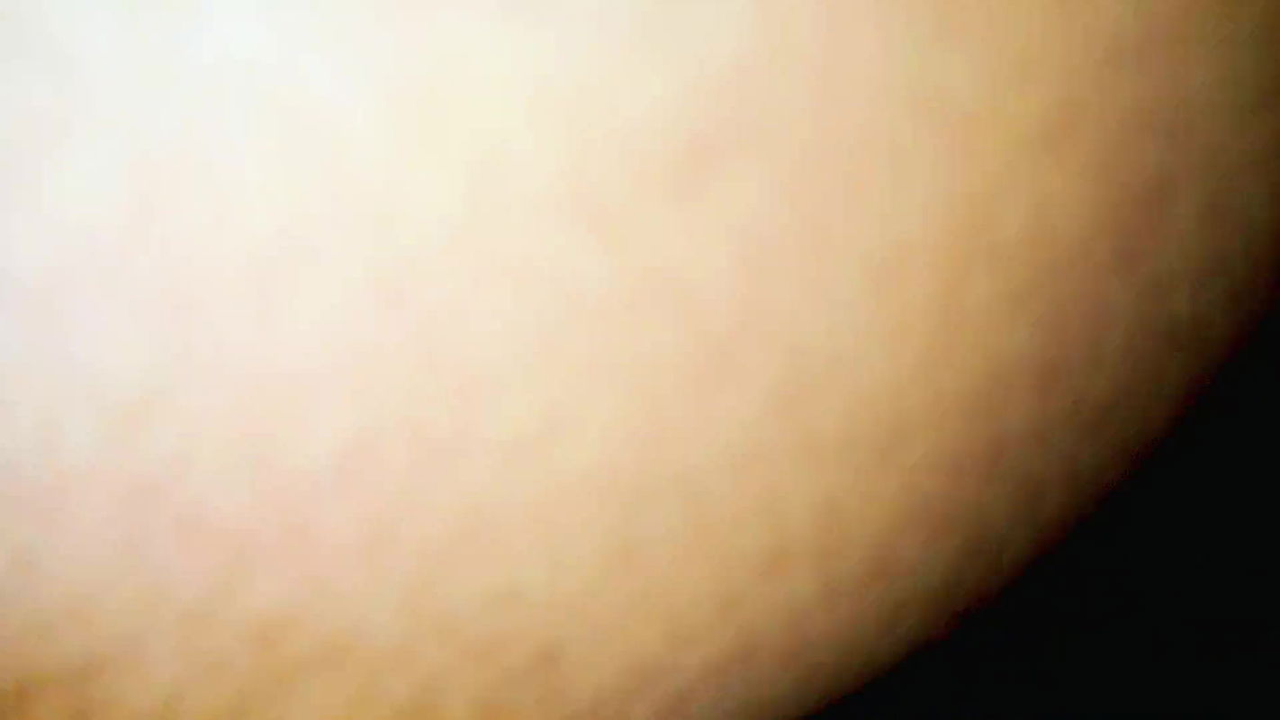 indian brother and step sister sex