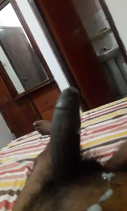 Lankan Wife Blowjob Till Hubby Cum