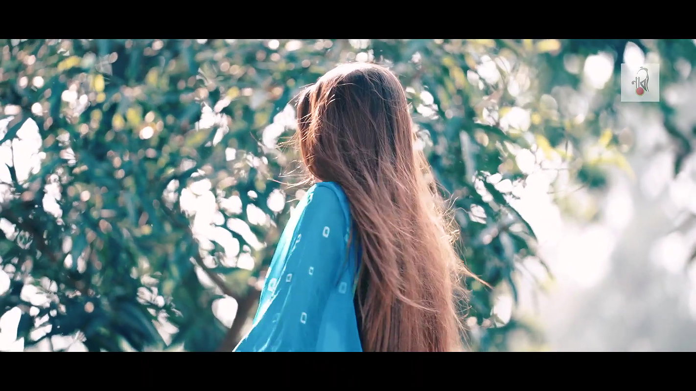 Beautiful Anam  Saree Fashion Video  NAARI