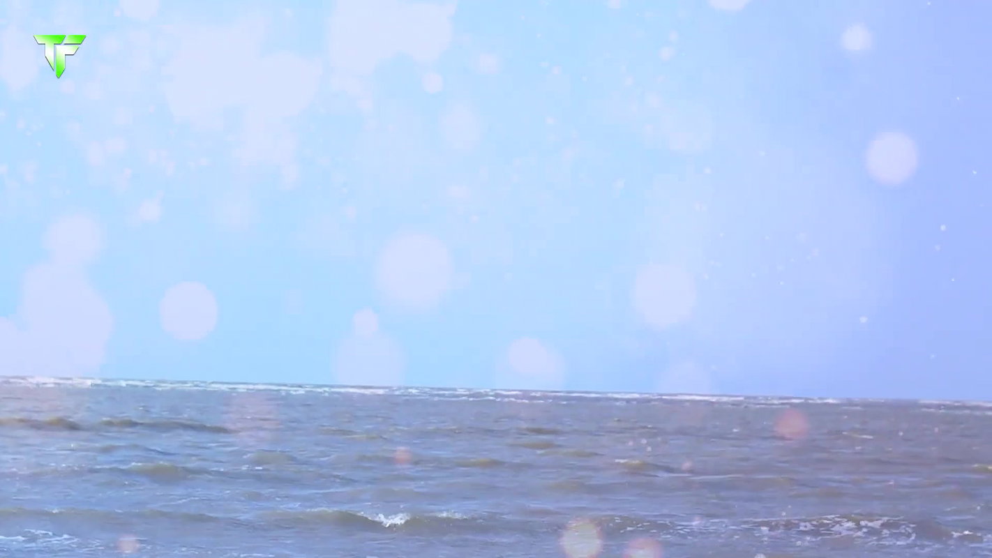 BIPASHA — saree lover naari nandini nayek navel saree lover saree Fashion — 2022