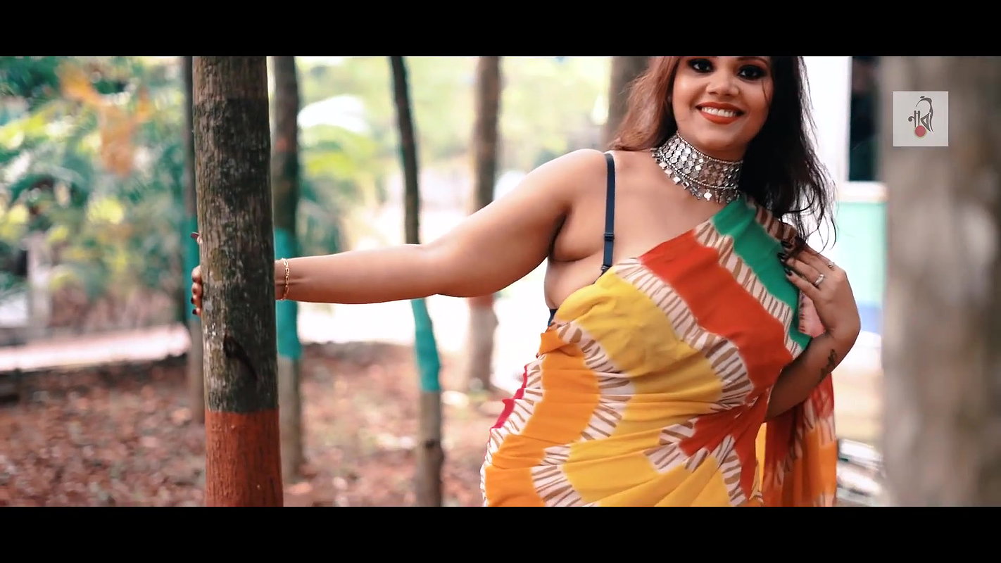 Colorful Rai  Saree Modeling Video  Multi Color Saree  NAARI