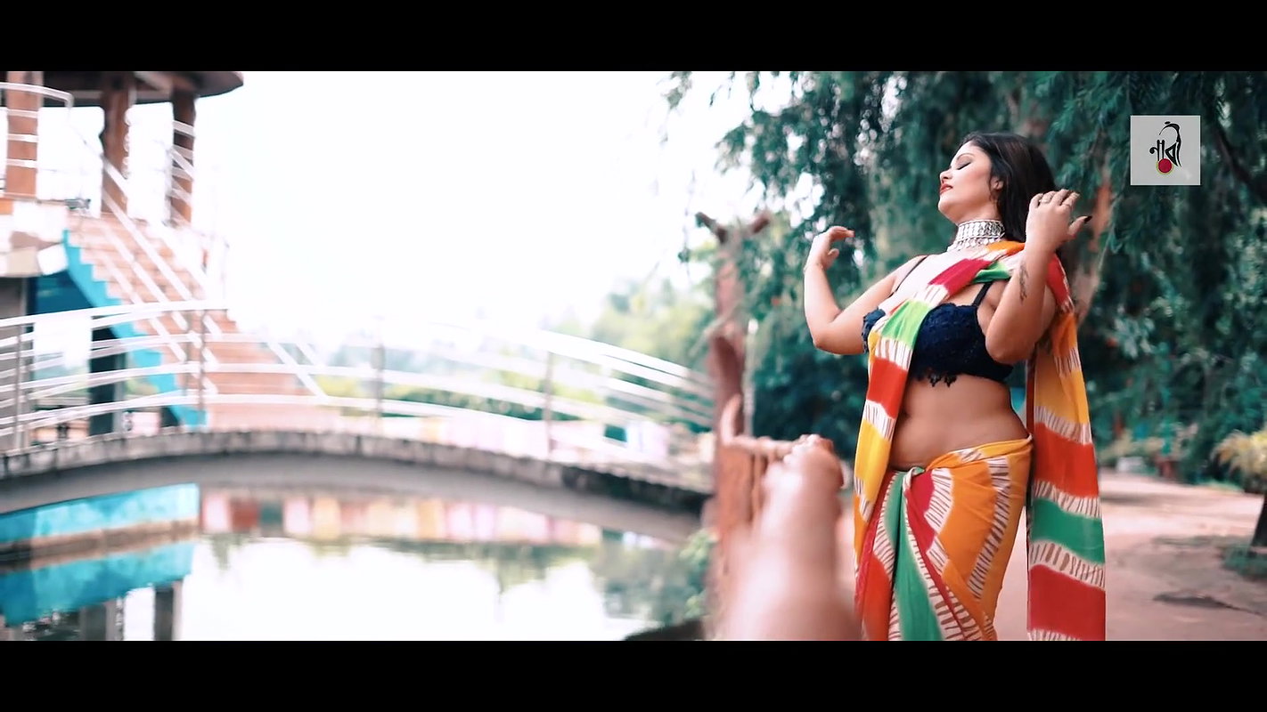 Colorful Rai  Saree Modeling Video  Multi Color Saree  NAARI