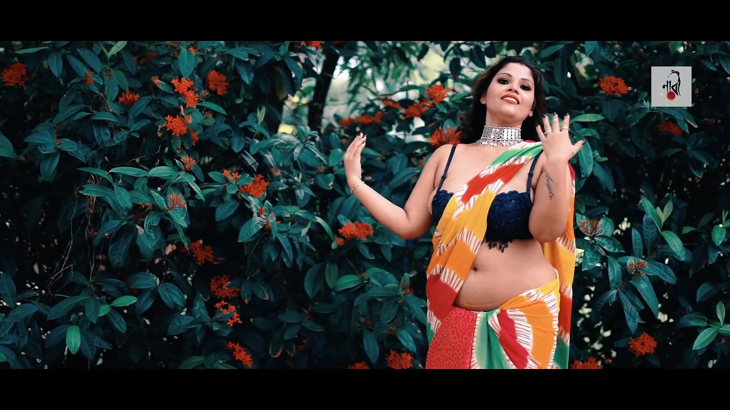 Colorful Rai  Saree Modeling Video  Multi Color Saree  NAARI