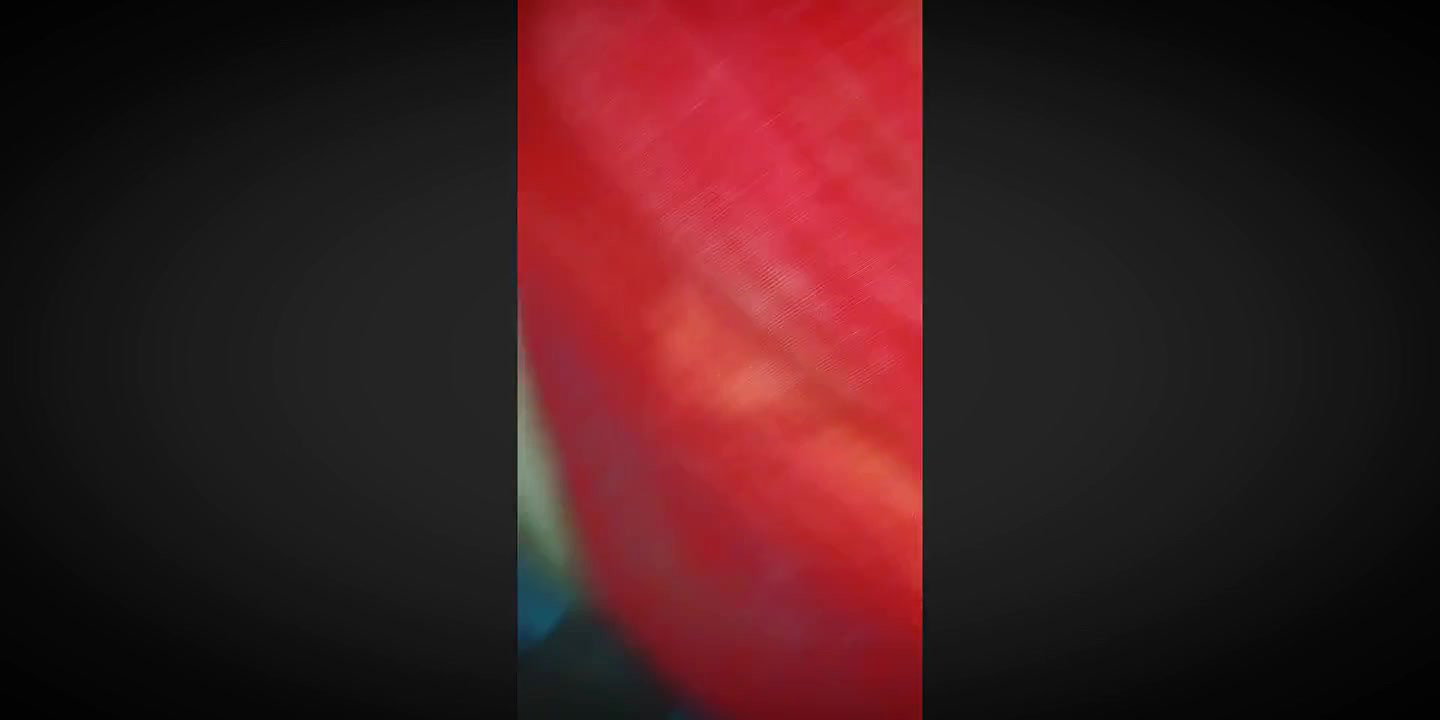 Red Nighty Fully Hardcore Video