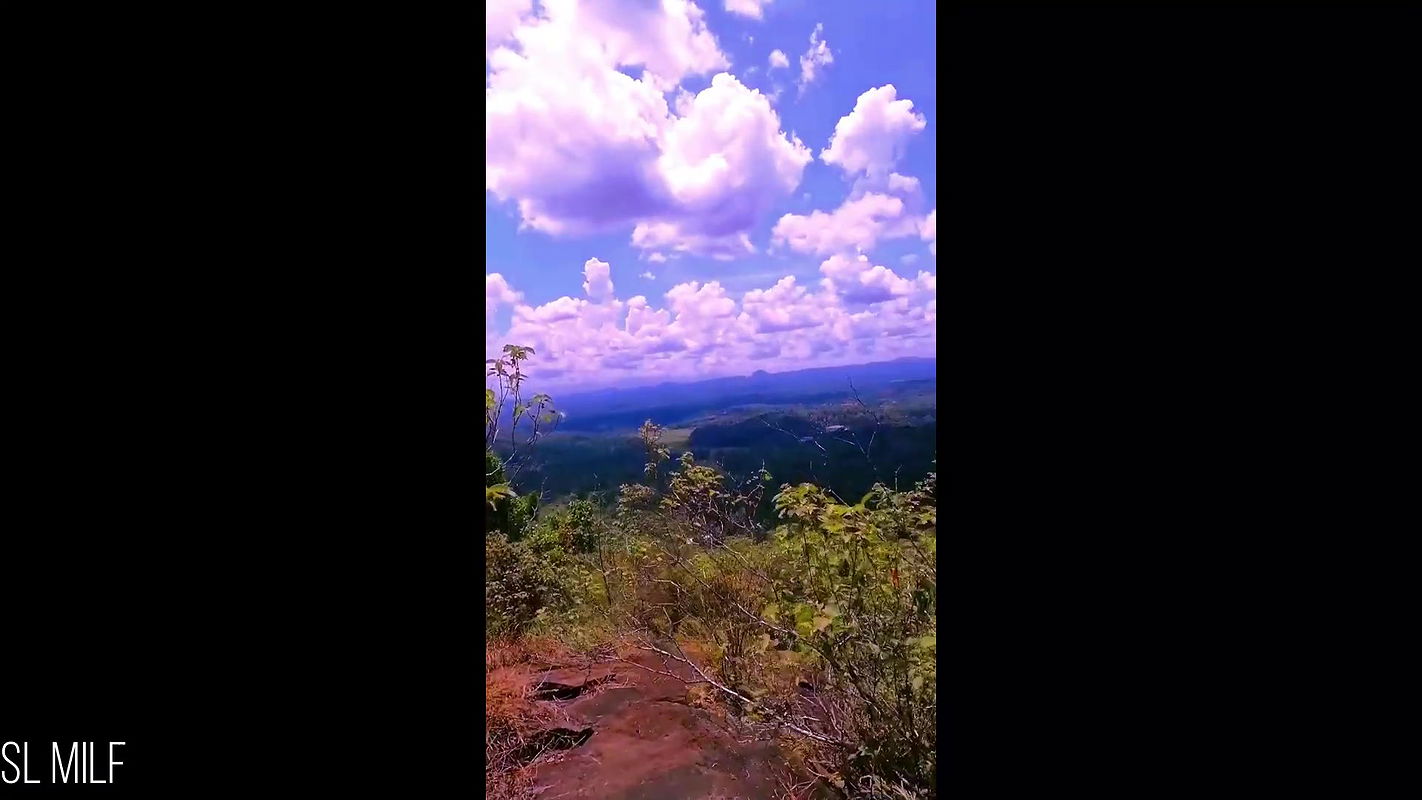 Risky Quick Public Sex in Jungle with Big Tits Girl Friend