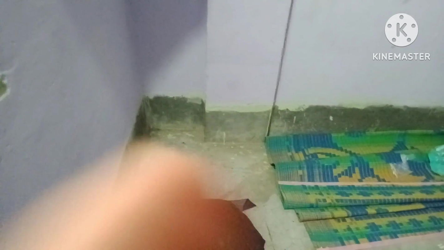 Romantic Desi Sexy Pussy Fuck