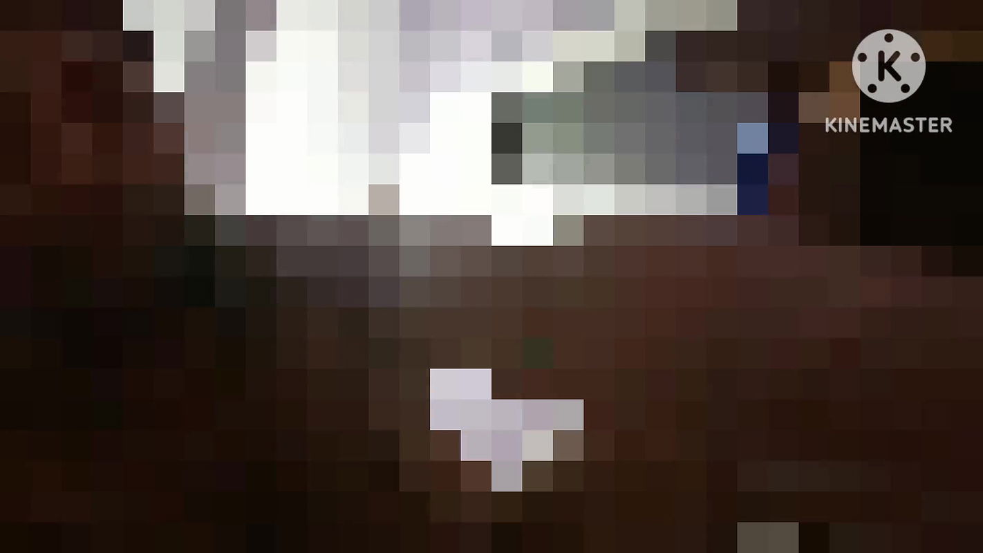 Romantic Dogy Style Sex Home Boobs