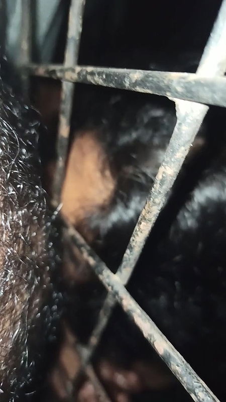 Beautiful Hot Girlfriend Fingering On Vc Many Clips 22