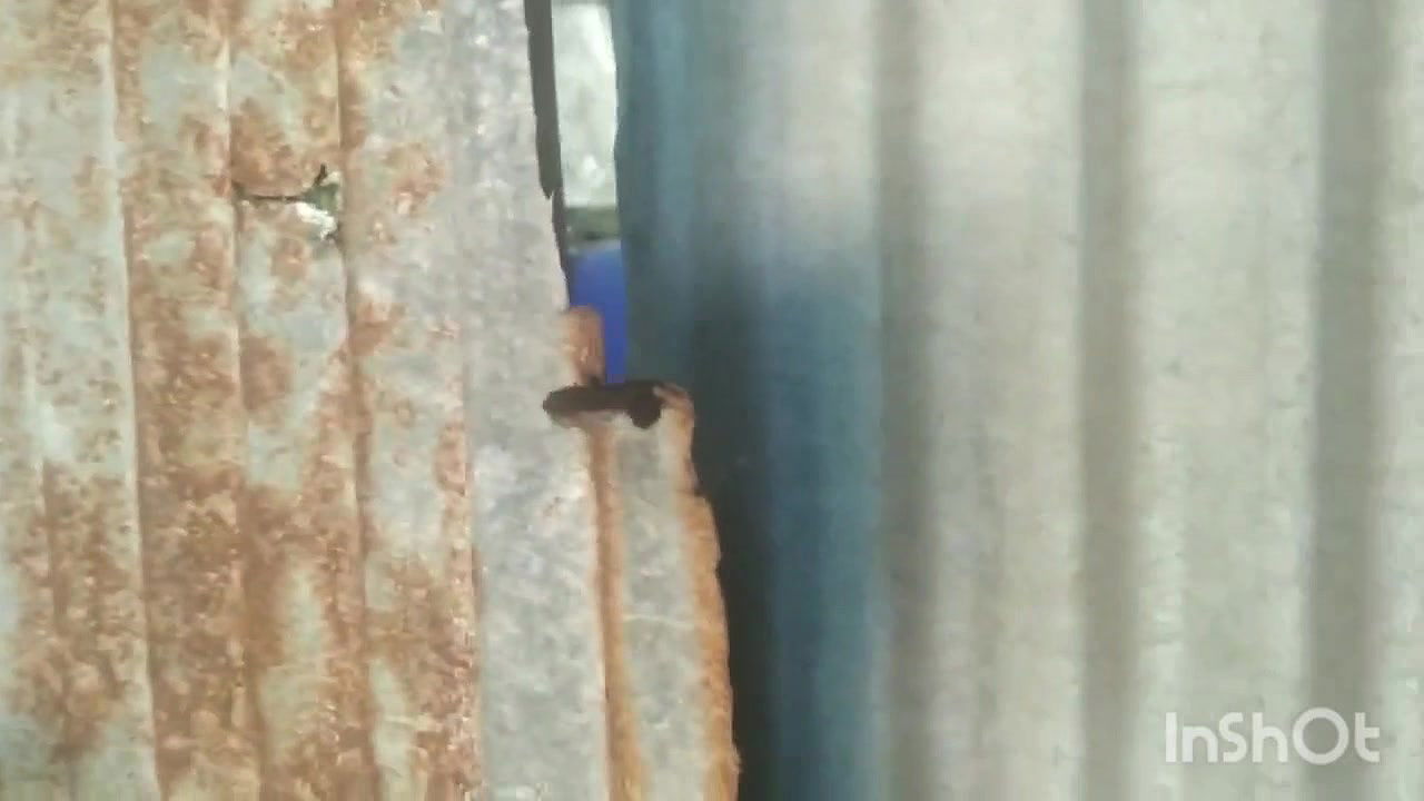 village big boobs girl bathing recorded 26