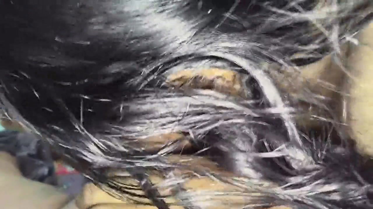 Desi Stepmom and I Share a Bed and She Ends up Sucking My Cock