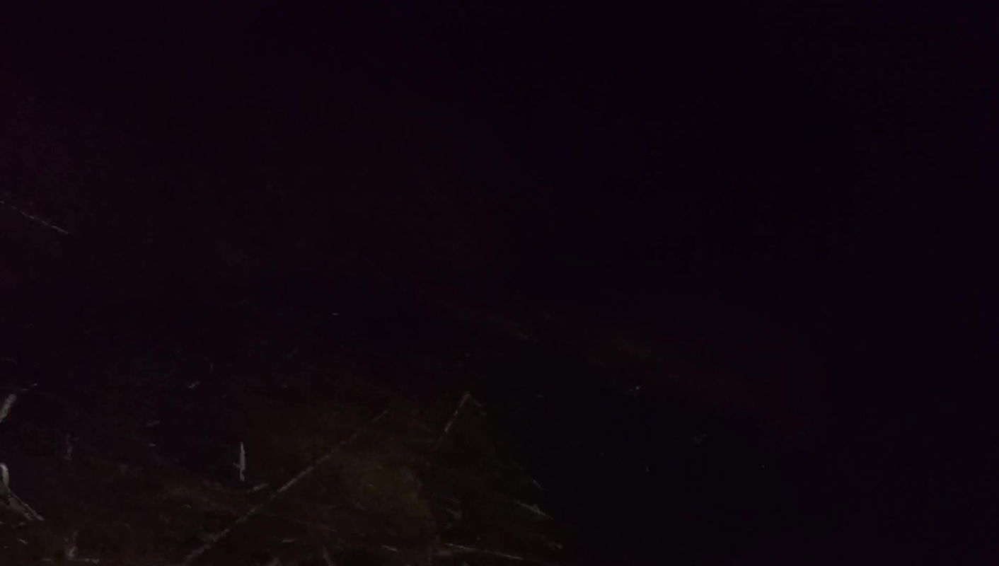 Me and My Bhabhi in the Paddy Field