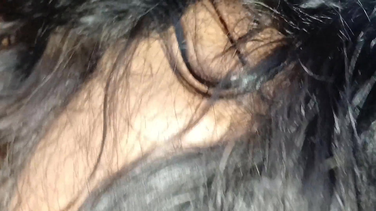 My Stepbrother Touch My Big Tits and I Rub His Huge Dick Must Watch