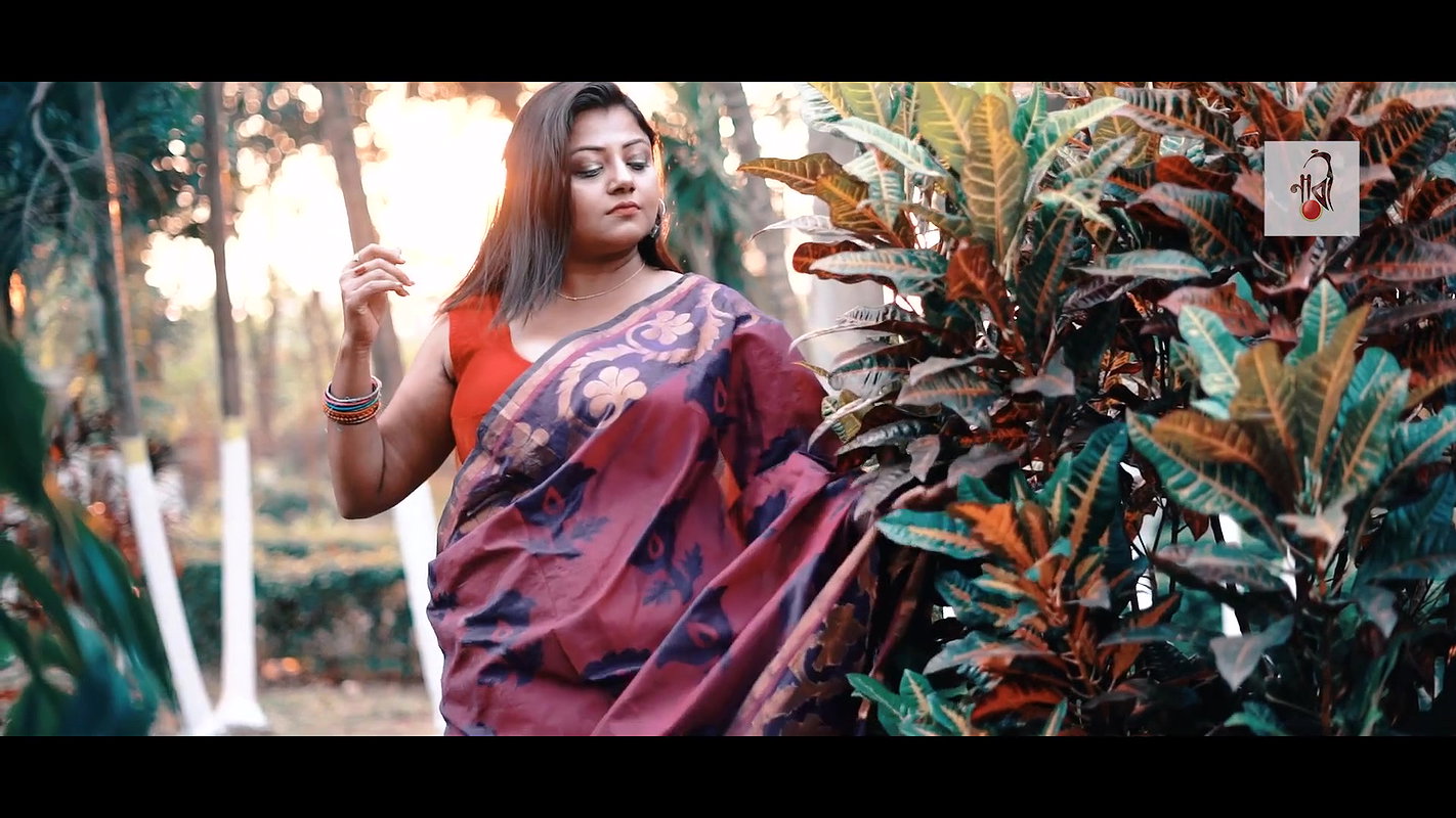 saree Expression Video  NAARI Feat Arpita  Jamdani Saree  Full HD  2021_1080p