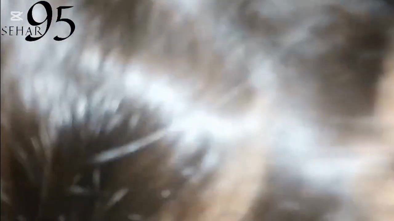 Happy Christmas From Sehar