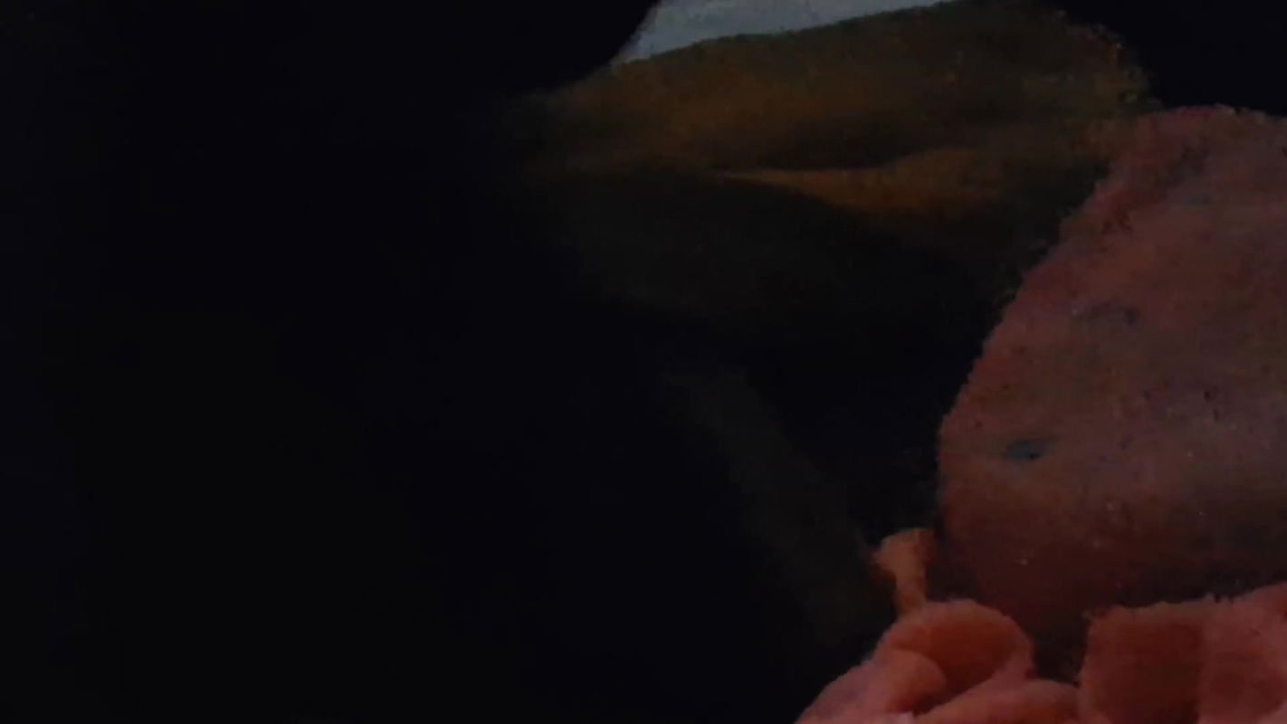 Payal Motherfucker I Will Tear Your Pussy, Dirty Street Sex Video