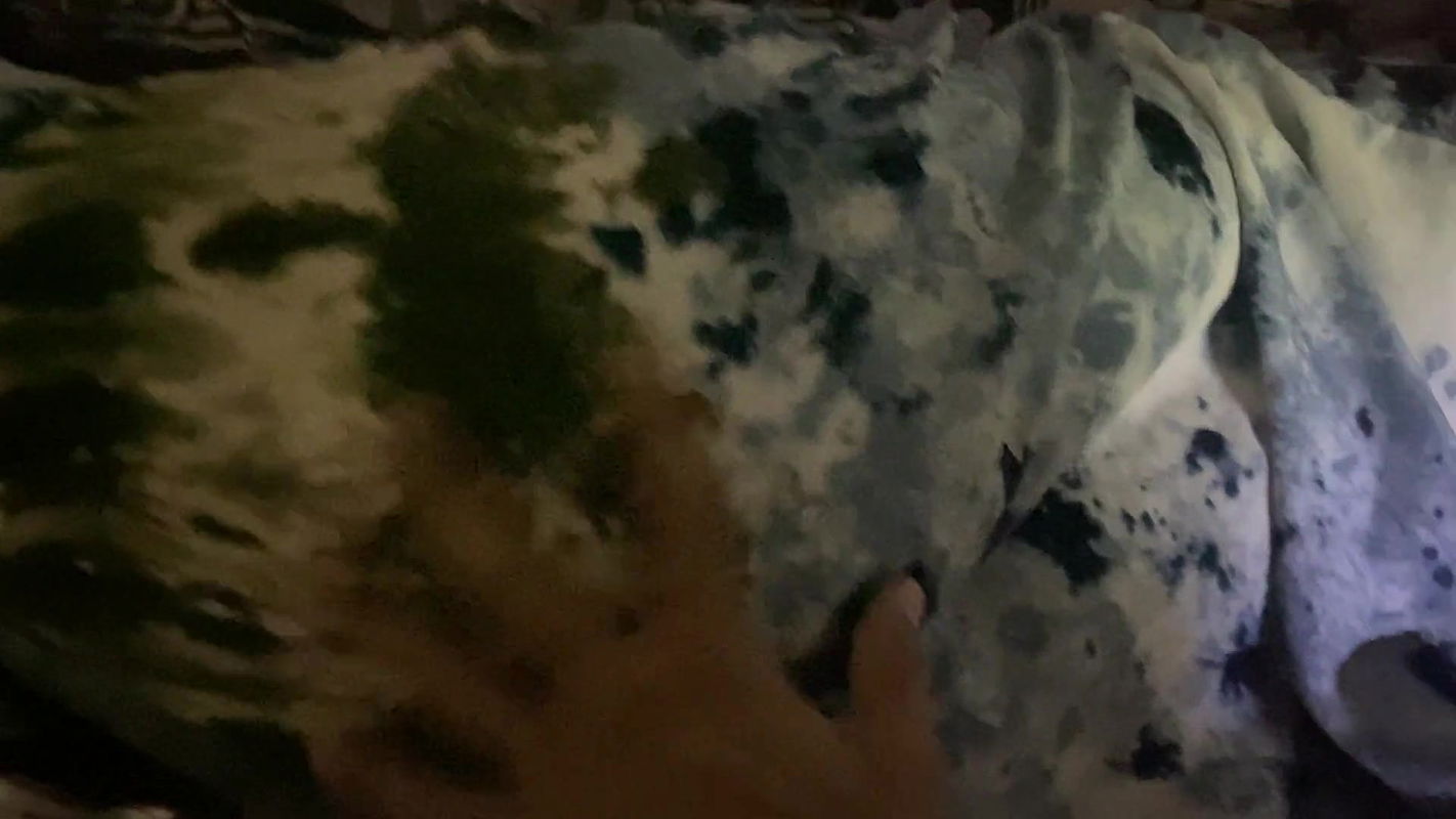 Big Ass Touching and Pressing