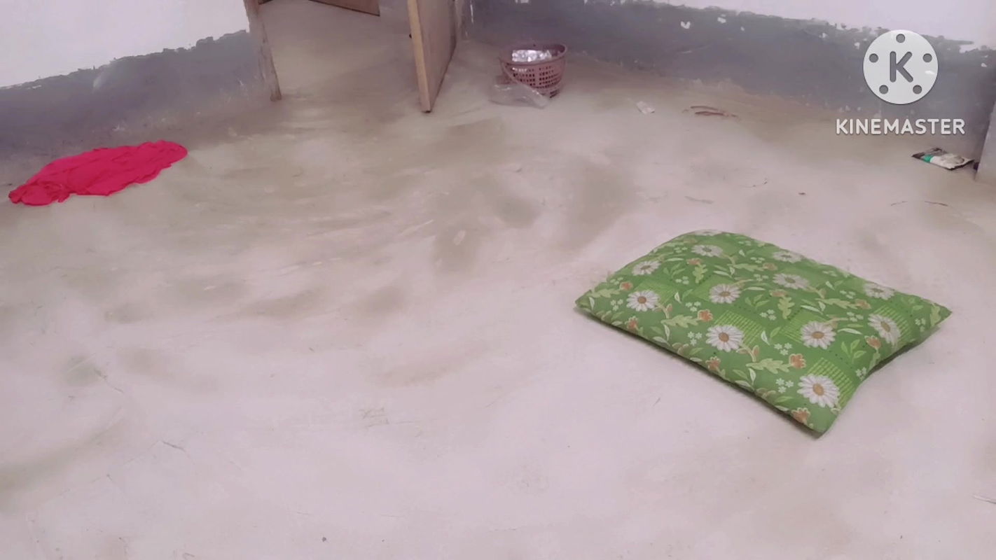 Big Penic Big Land Pakistani Land Bangladeshi Land Big and Small Land Black Land