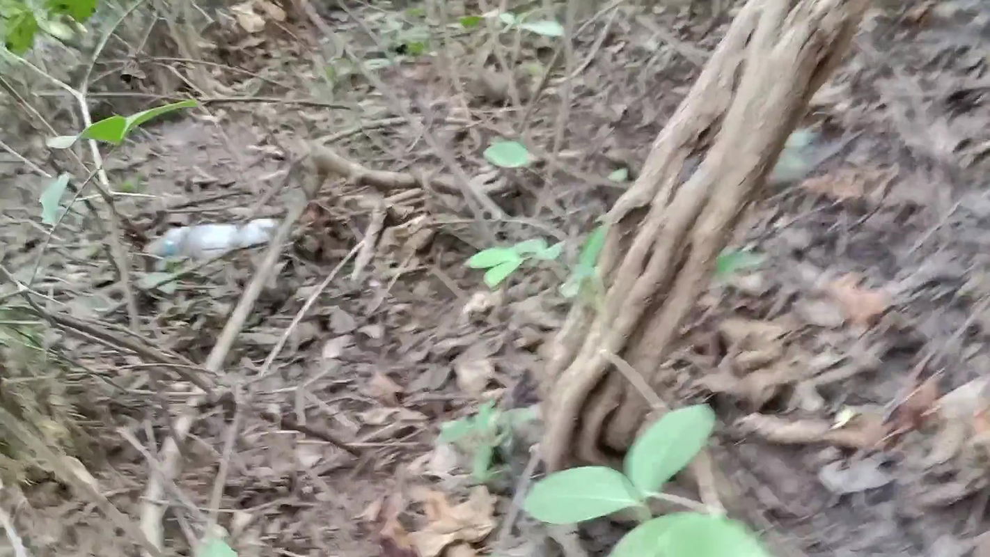 Desi Beautiful Hot Bhabhi Jungle Main Sex Kiya Out Dorsex