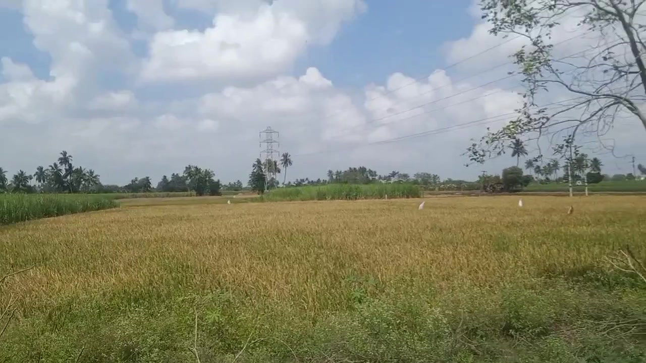 Tamil Housewife Big Boobs Show in Village House