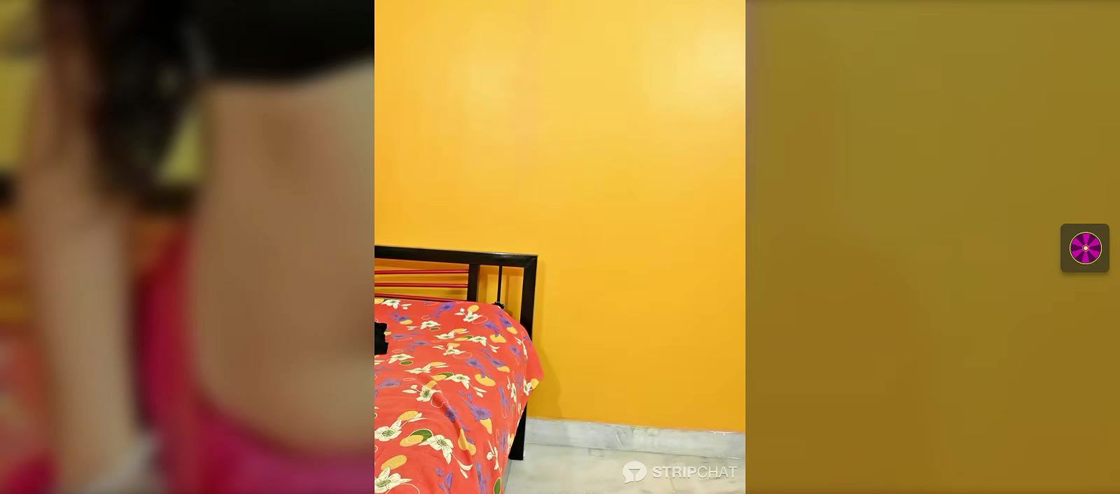 Desi Wife in Saree without blouse shows boobs 22