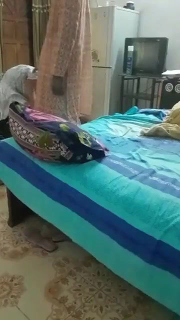 Devar want blowjob,but bhabhi refused