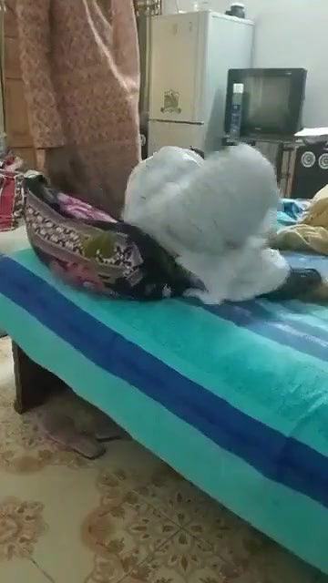 Devar want blowjob,but bhabhi refused