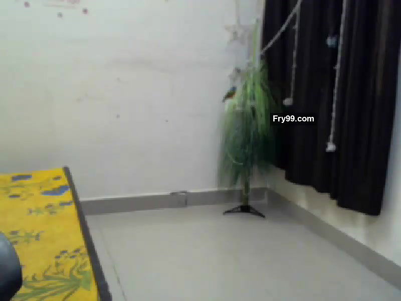 Cpl_06 All collection – 28